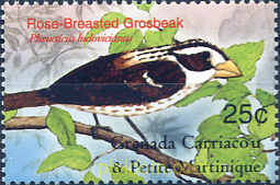 AVES