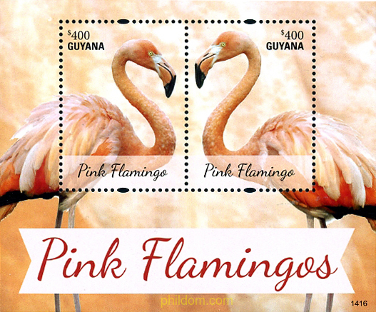 FLAMENCOS