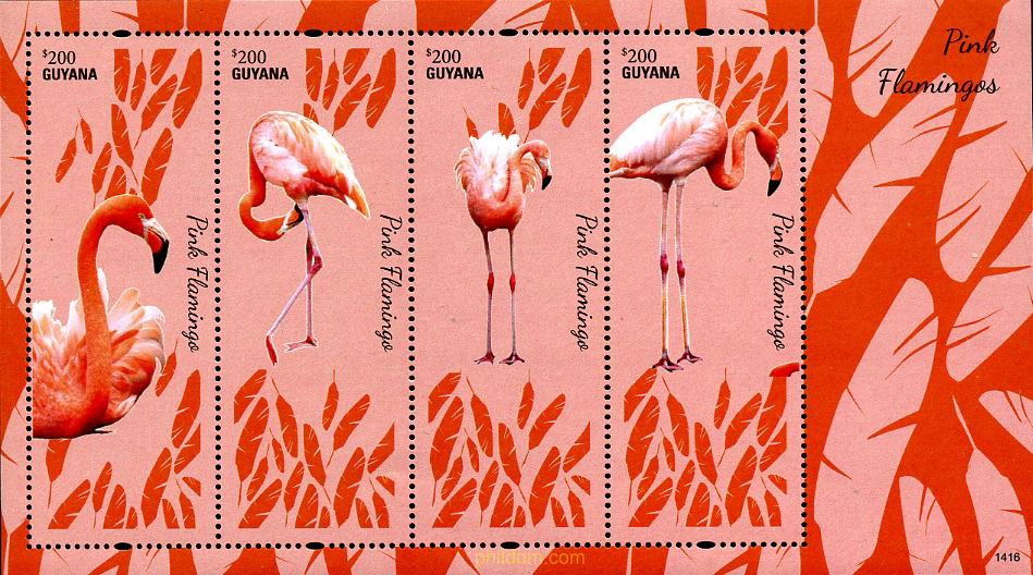 FLAMENCOS