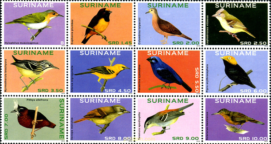 AVES