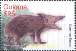 FAUNA