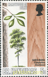 ESPECIES FORESTALES