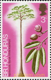 ARBOLES Y SUS FRUTOS