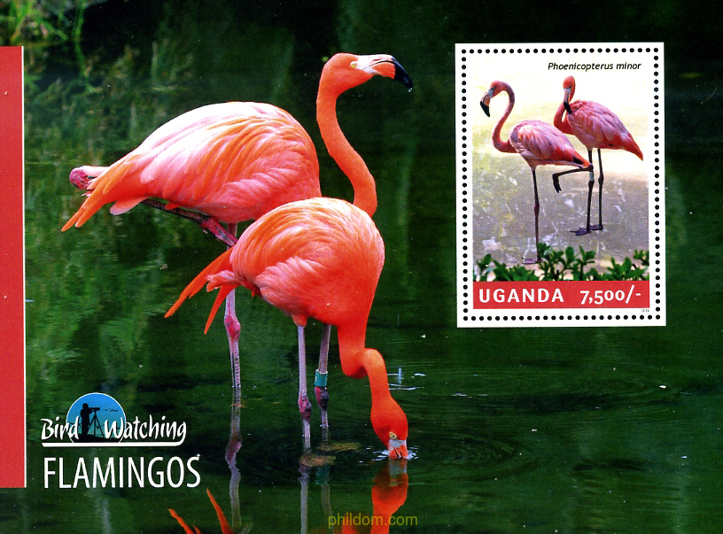 FLAMENCOS