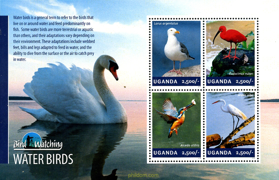 AVES ACUATICAS