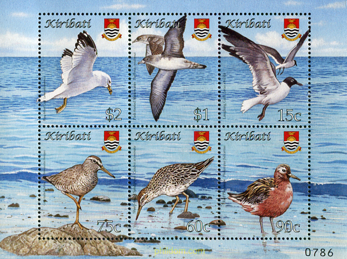 PAJAROS