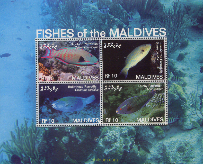 PECES DE LAS MALDIVAS