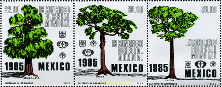 IX CONGRESO FORESTAL MUNDIAL