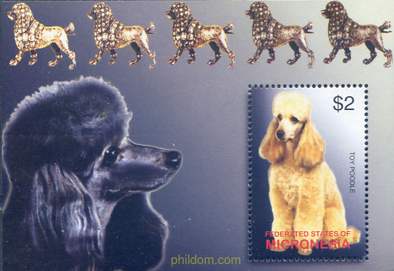 PERROS