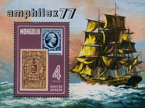 AMPHILEX - 77