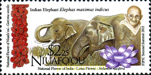 FAUNA Y FLORA