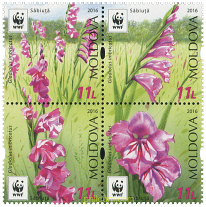 WWF - PROTECCION A LA NATURALEZA