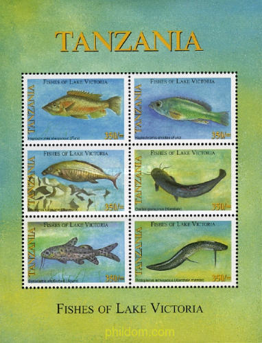 PECES DEL LAGO VICTORIA