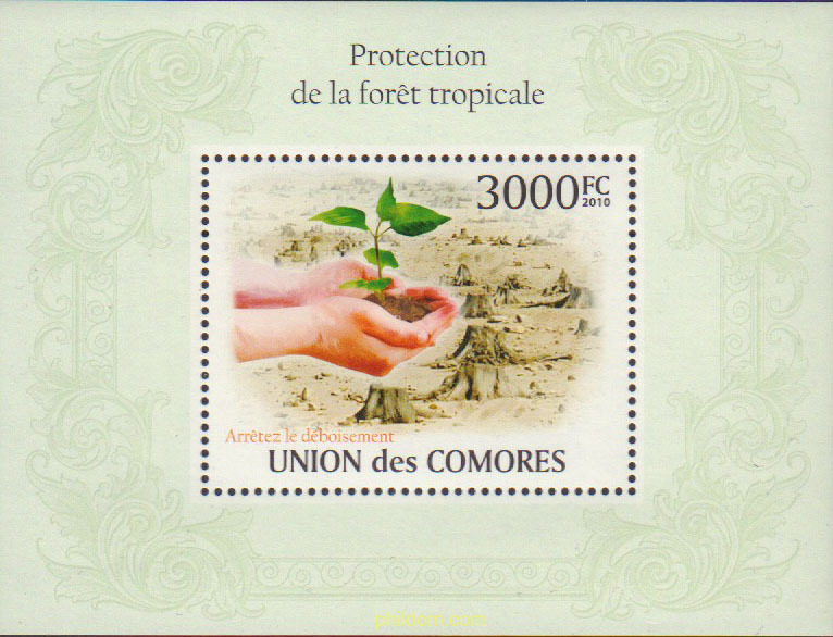 PROTECCION A LOS BOSQUES TROPICALES