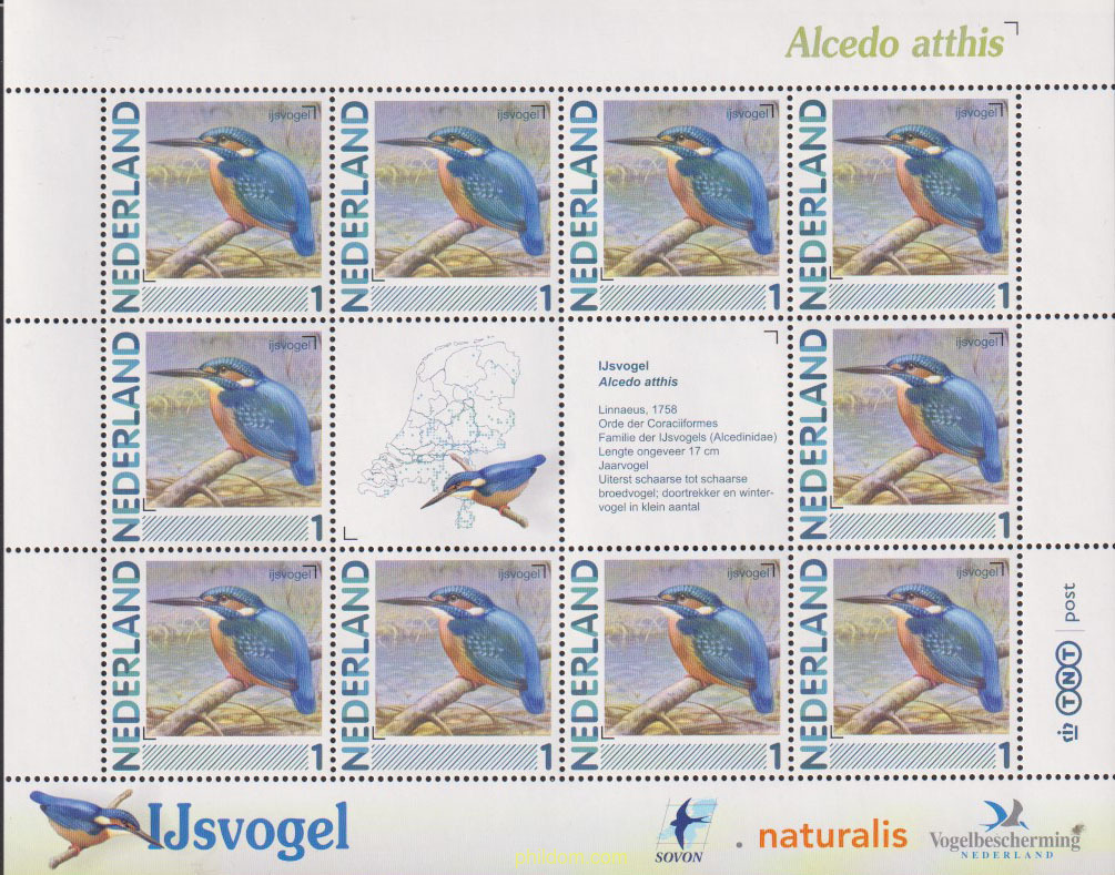 SELLOS PERSONALIZADOS