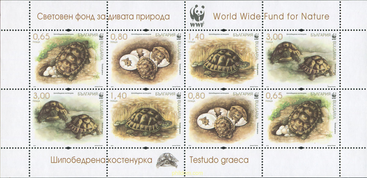 WWF - TORTUGA