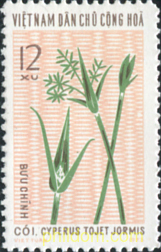 DIBUJOS DE PLANTAS EN LOS TEJIDOS