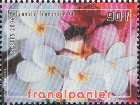 FLOR DEL ALMENDRO
