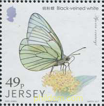 MARIPOSAS