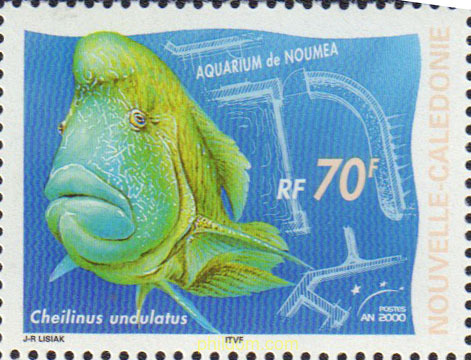 ACUARIO DE NOUMEA