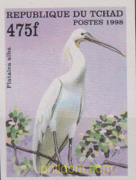 AVES