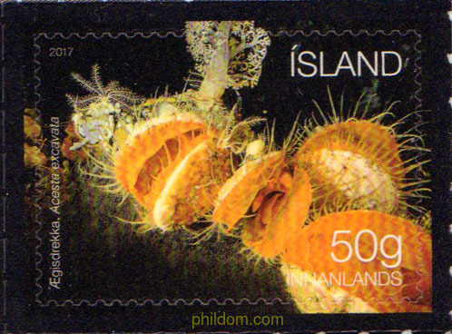 ECOSISTEMA DEL LECHO MARINO ISLANDES