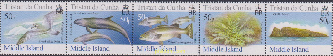 FAUNA DE LA ISLA MIDDLE