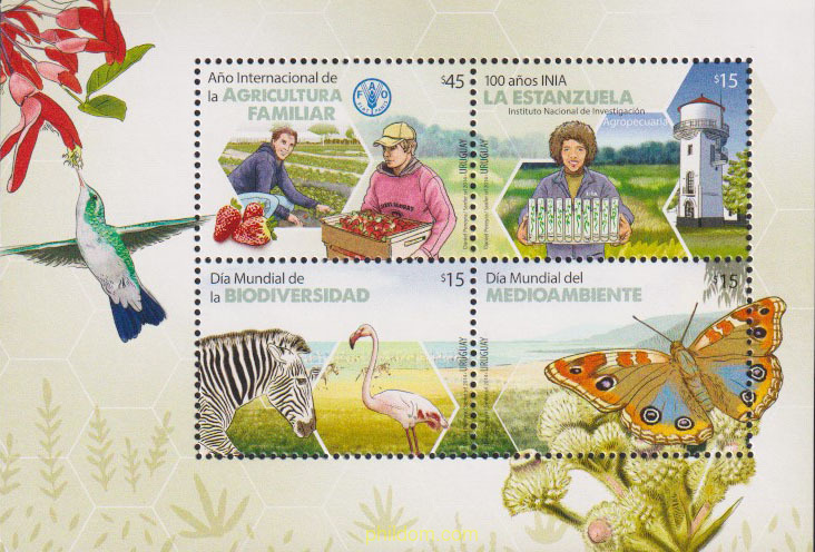 AÑO INTERNACIONAL DE LA AGRICULTURA FAMILIAR