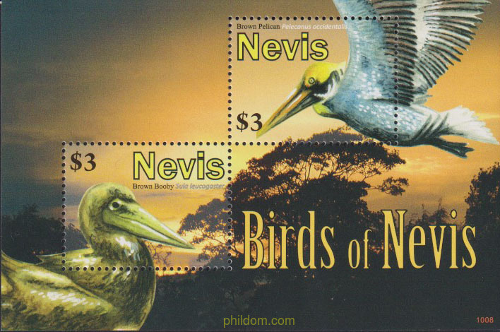 AVES DE NEVIS