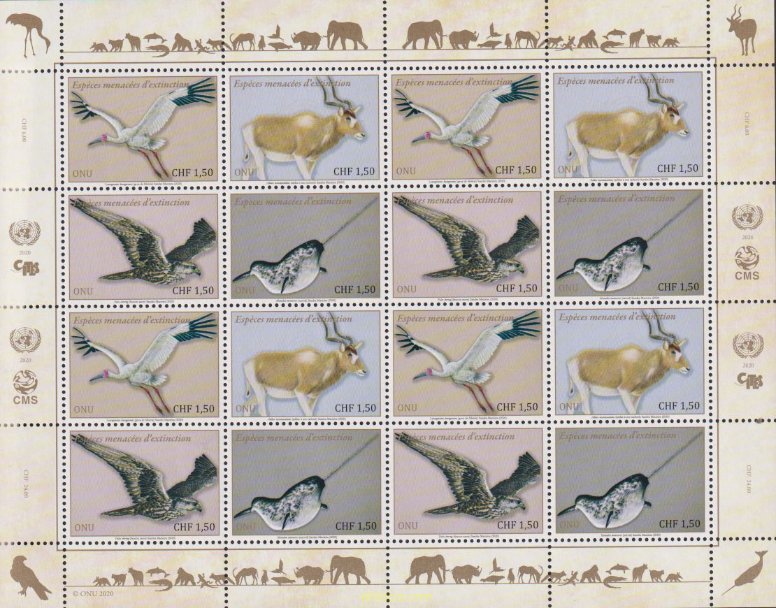 FAUNA PROTEGIDA