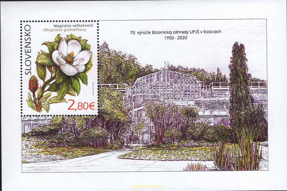 PROTECCIÓN DE LA NATURALEZA - EL JARDÍN BOTÁNICO DE KOŠICE - MAGNOLIA GRANDIFLORA