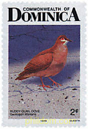 AVES