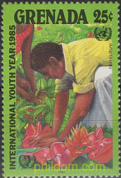 AÑO INTERNACIONAL DE LA JUVENTUD