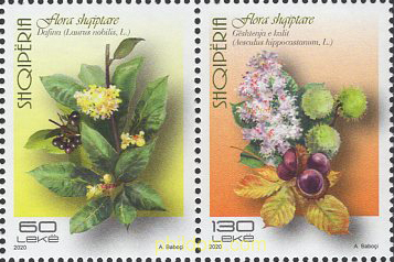 FLORES