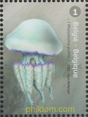MEDUSAS EN EL MAR DEL NORTE