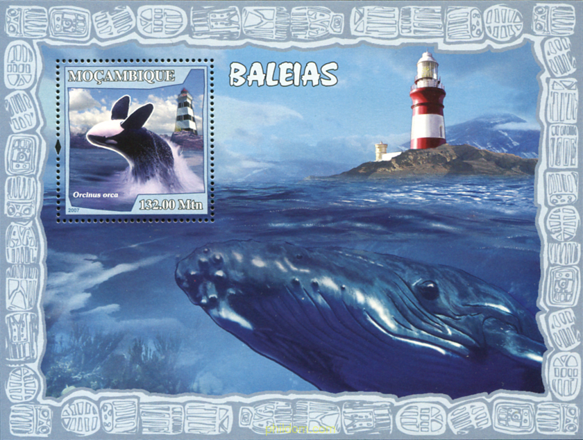 CETACEOS-BALLENAS