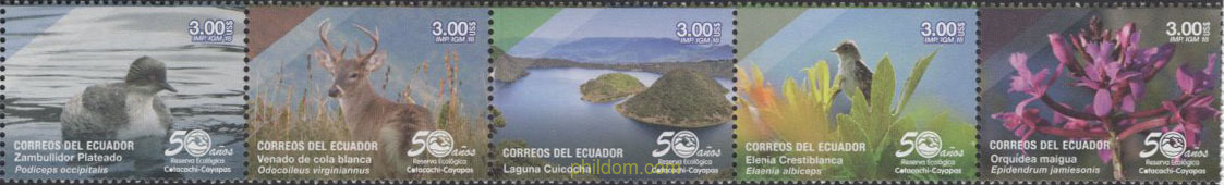 RESERVA NATURAL COTACACHI CAYAPAS