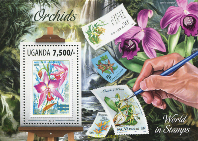 ORQUIDEAS