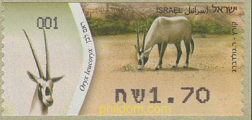 ANTILOPE