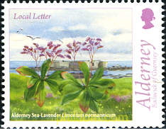 FLORA Y FAUNA