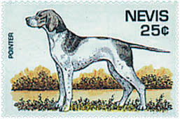 PERROS DE RAZA