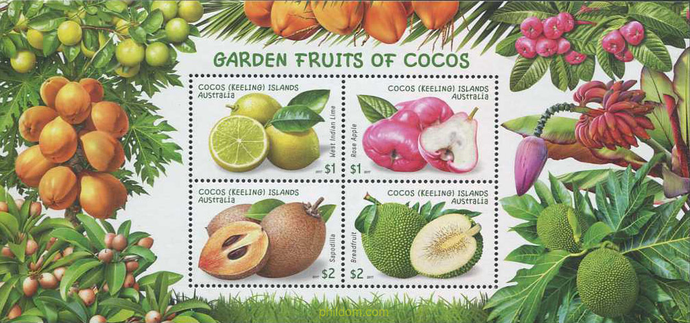 FRUTOS DE LAS ISLAS COCOS