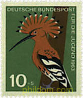 AVES