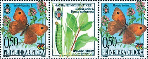 MARIPOSAS
