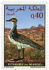 AVES