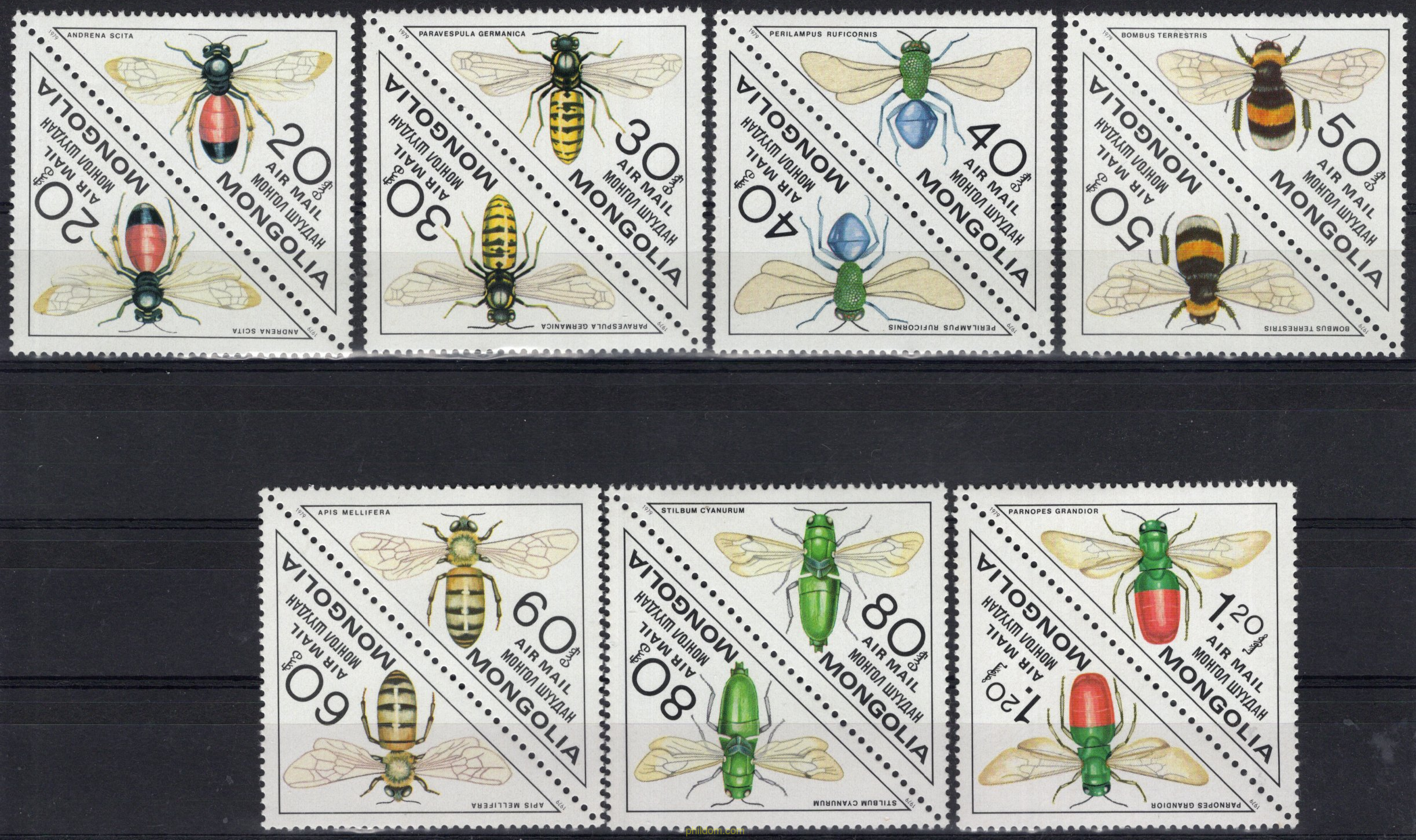 INSECTOS