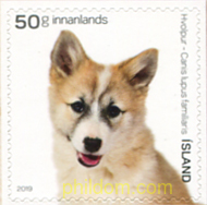 ANIMALES JOVENES DE ISLANDIA