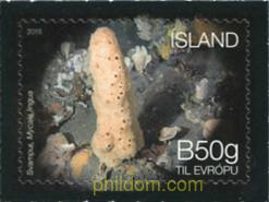 ECOSISTEMA MARINO ISLANDES