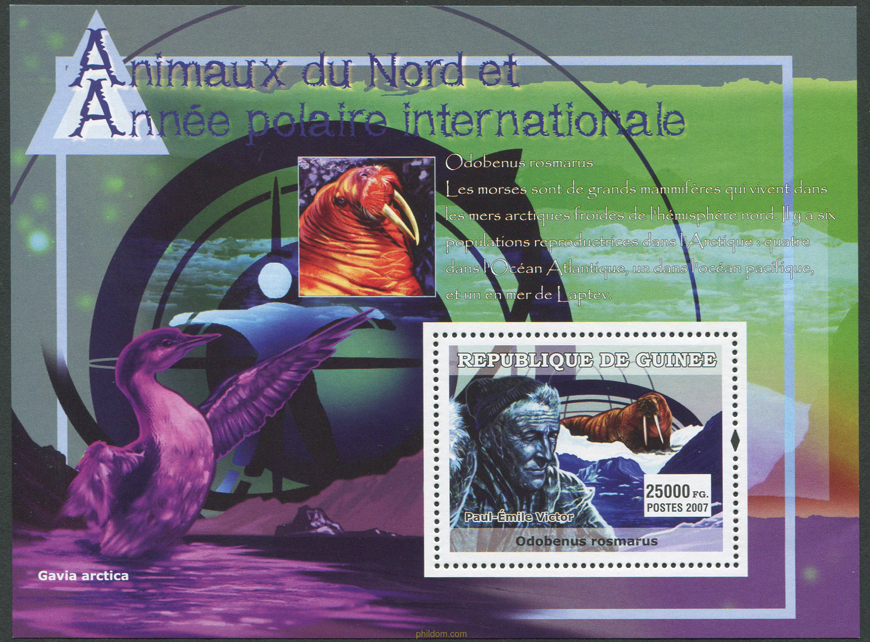 AÑO POLAR INTERNACIONAL