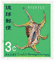 FAUNA MARINA